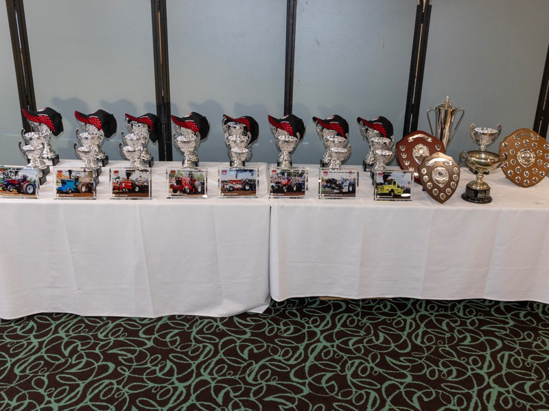 Points pulls in detail