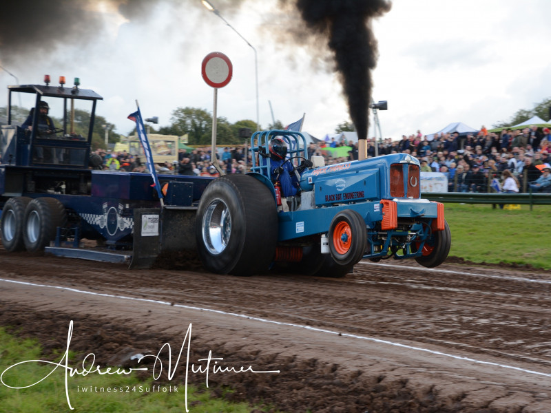 Great Eccleston Show pull